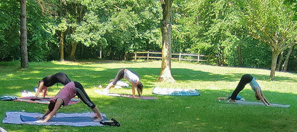 Cours de yoga